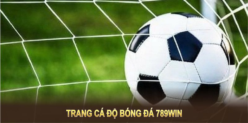 Trang Cá Độ Bóng Đá 789WIN – Lựa Chọn Lý Tưởng Cho Tín Đồ Thể Thao